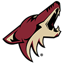 Arizona Coyotes